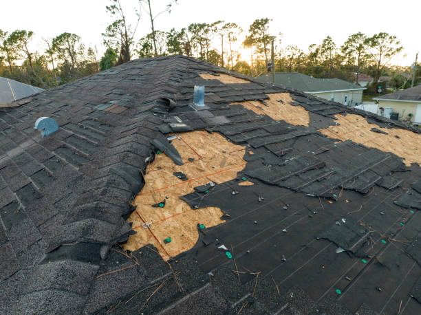 Best Rubber Roofing (EPDM, TPO)  in Palm Valley, TX